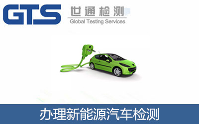 辦理新能源汽車檢測(cè)