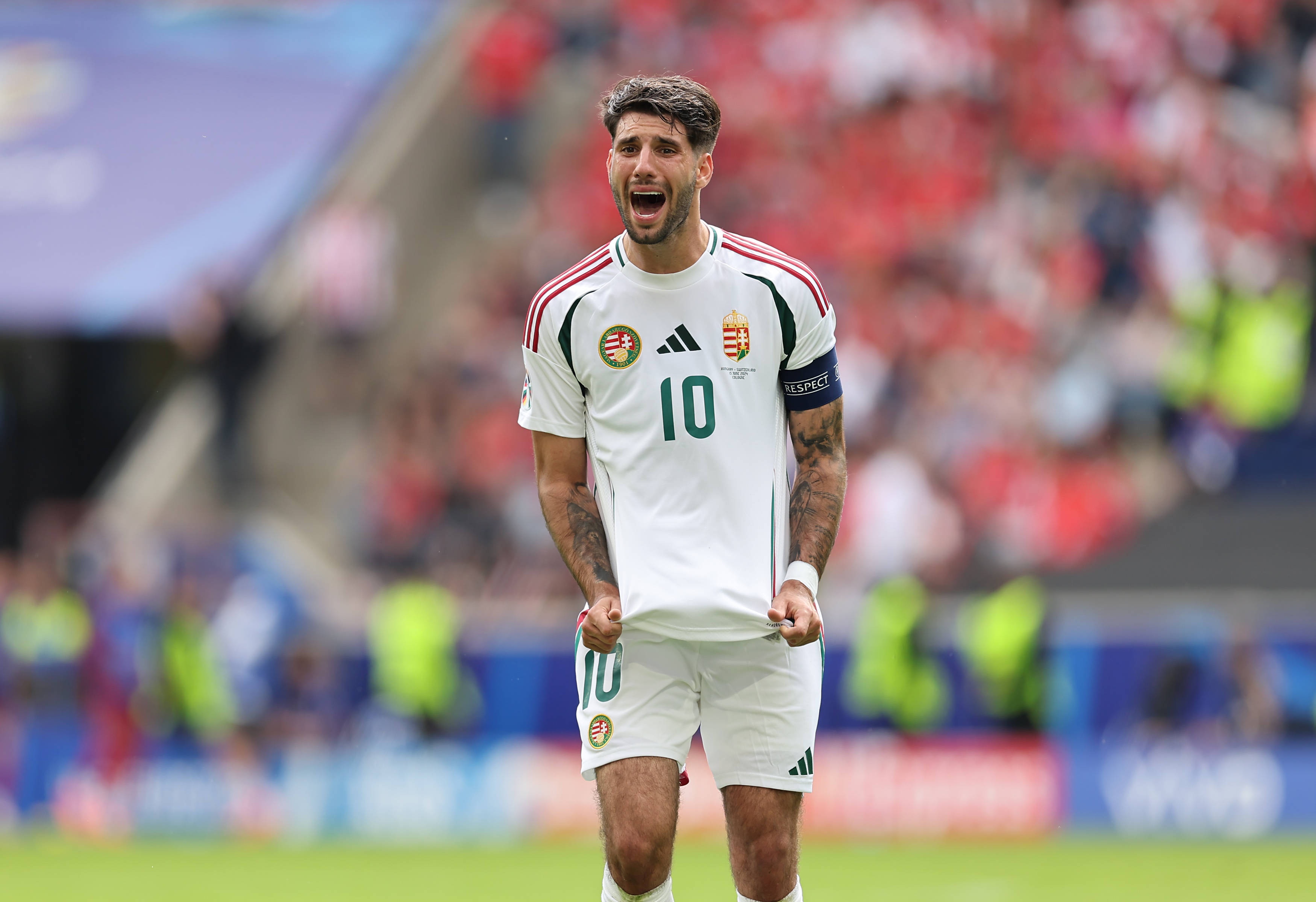 歐洲區(qū)晉級球隊名單_2026世界杯預選賽結果_世界杯歷史第一支打進淘汰賽階段的非洲球隊