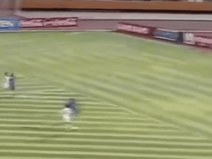 大連金州不相信眼淚故事_1998年世界杯亞洲區預選賽中國隊名單_中國男足征戰世界杯歷史